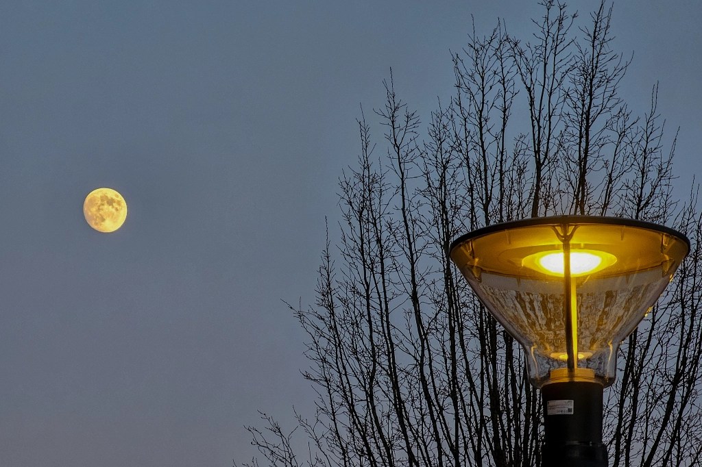 The Moon and a Street Light just after sunset in Autumn.