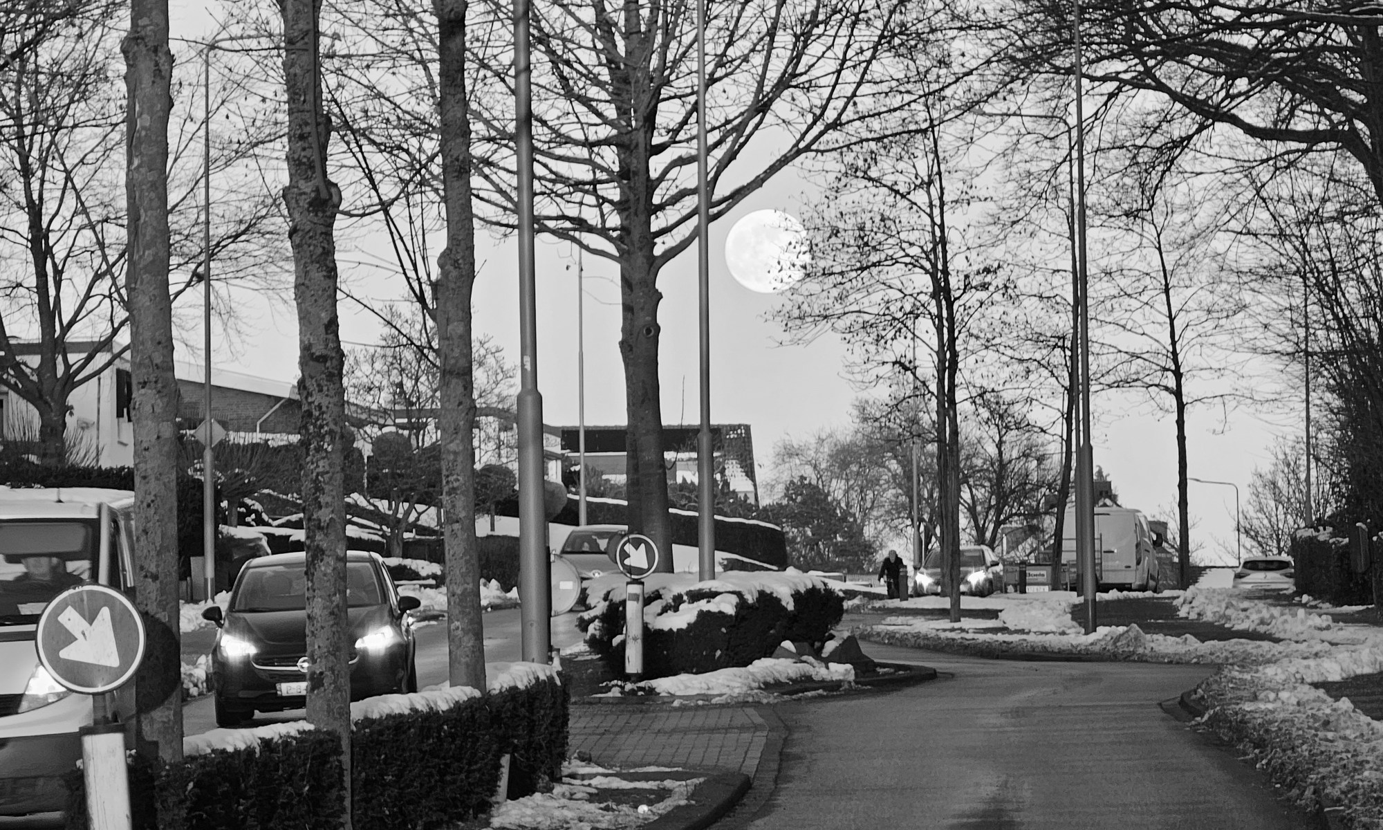 The Full Moon illuminates the Way