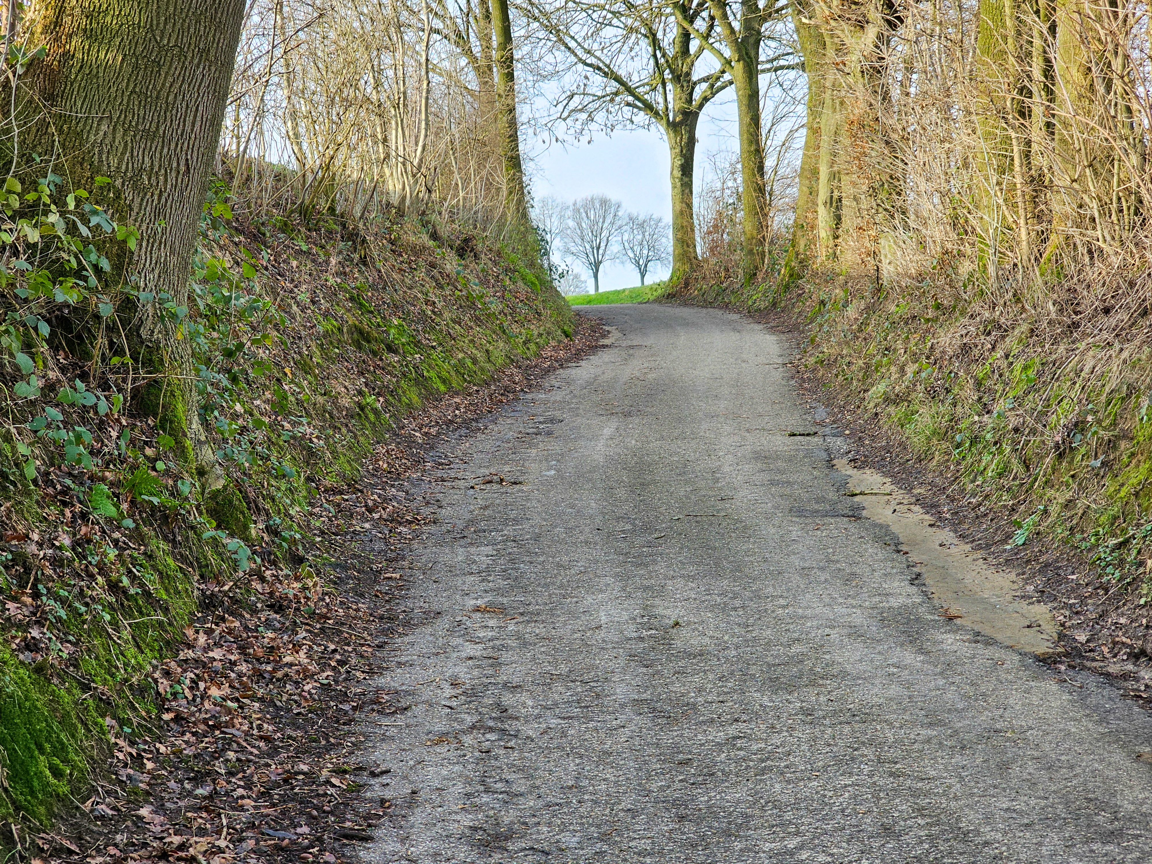 Hollow Road Molsberg, Simpelveld with View on two Trees in the distance