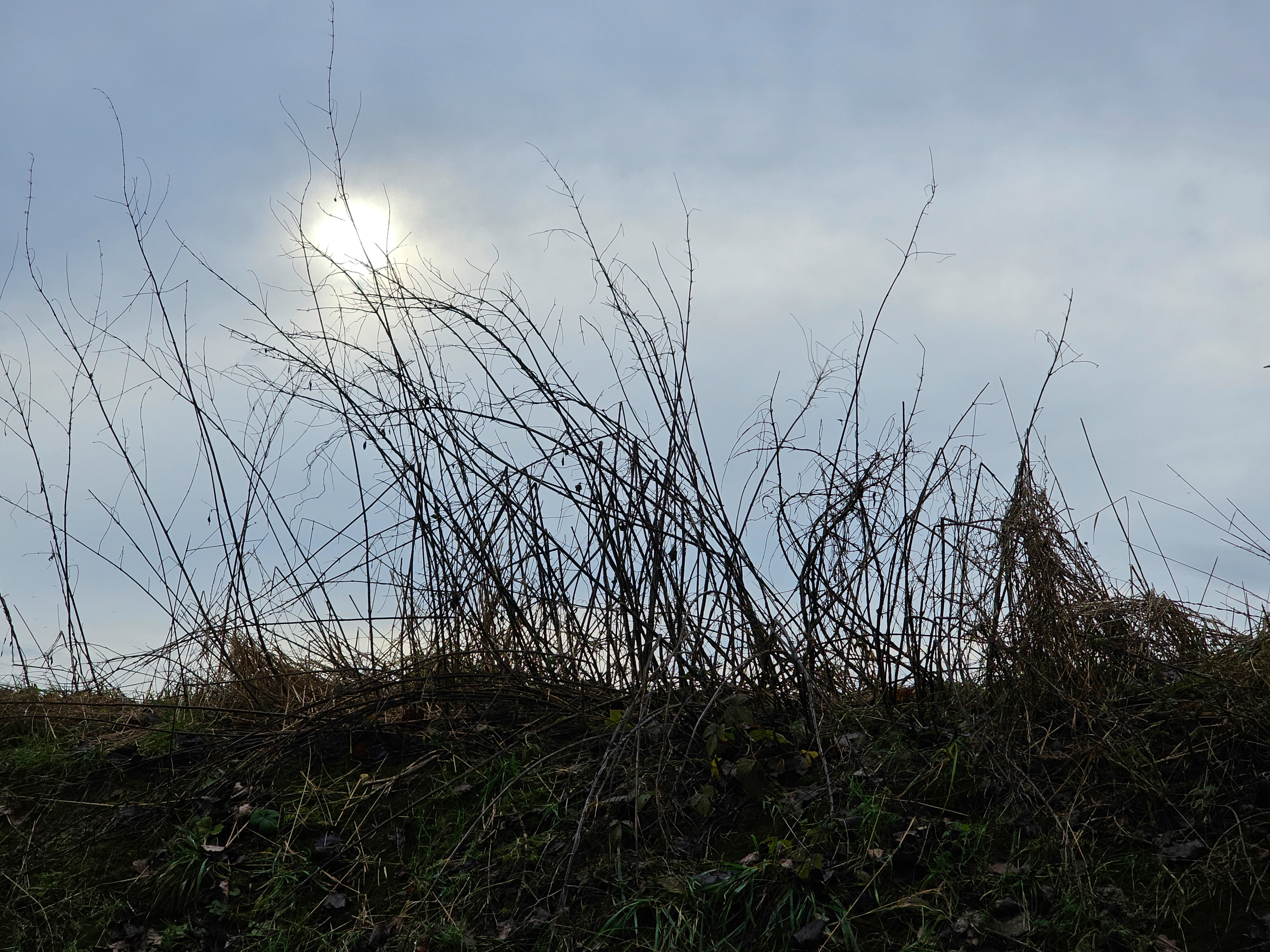 Winter Landscape; Sun behind the Clouds