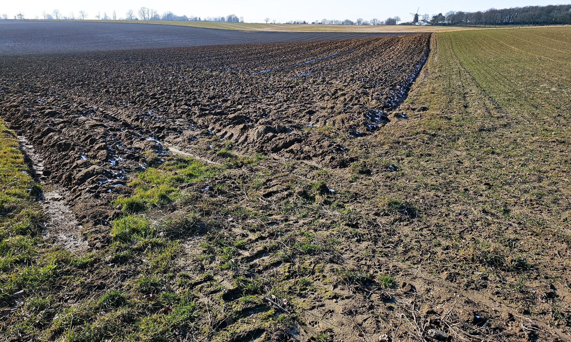 Photo of freshly ploughed Field in Simpelveld. Furrows - on one Side covered with Frost - point to the Mill on the Hill