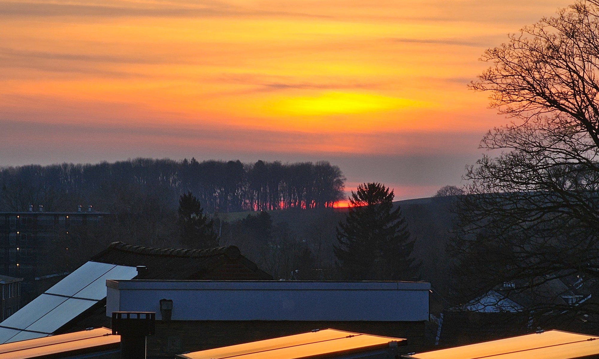 Sunset at the Horizon reflected in Solar Panels