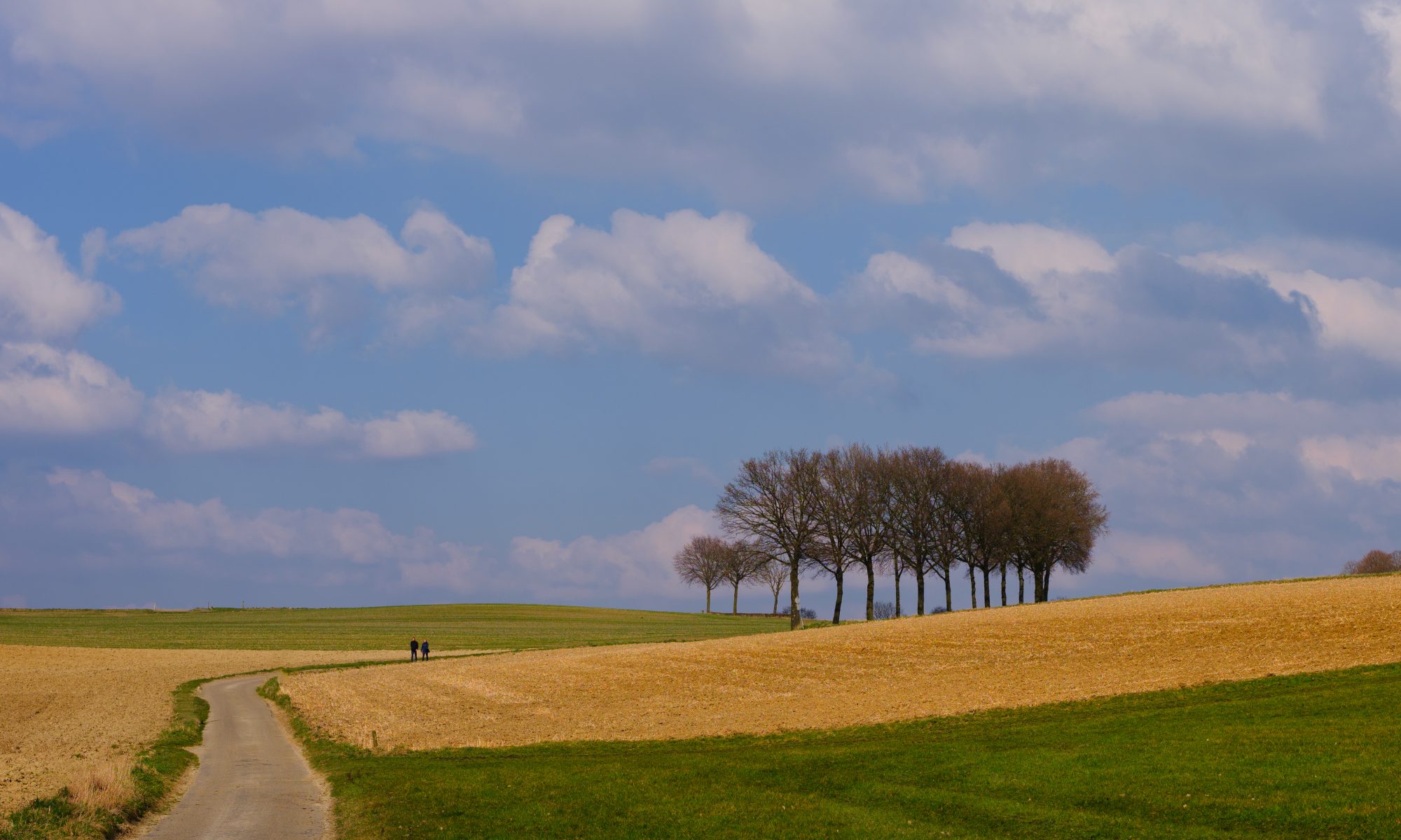 Two Walkers walking down the Road between the Fields in sunny Landscape.