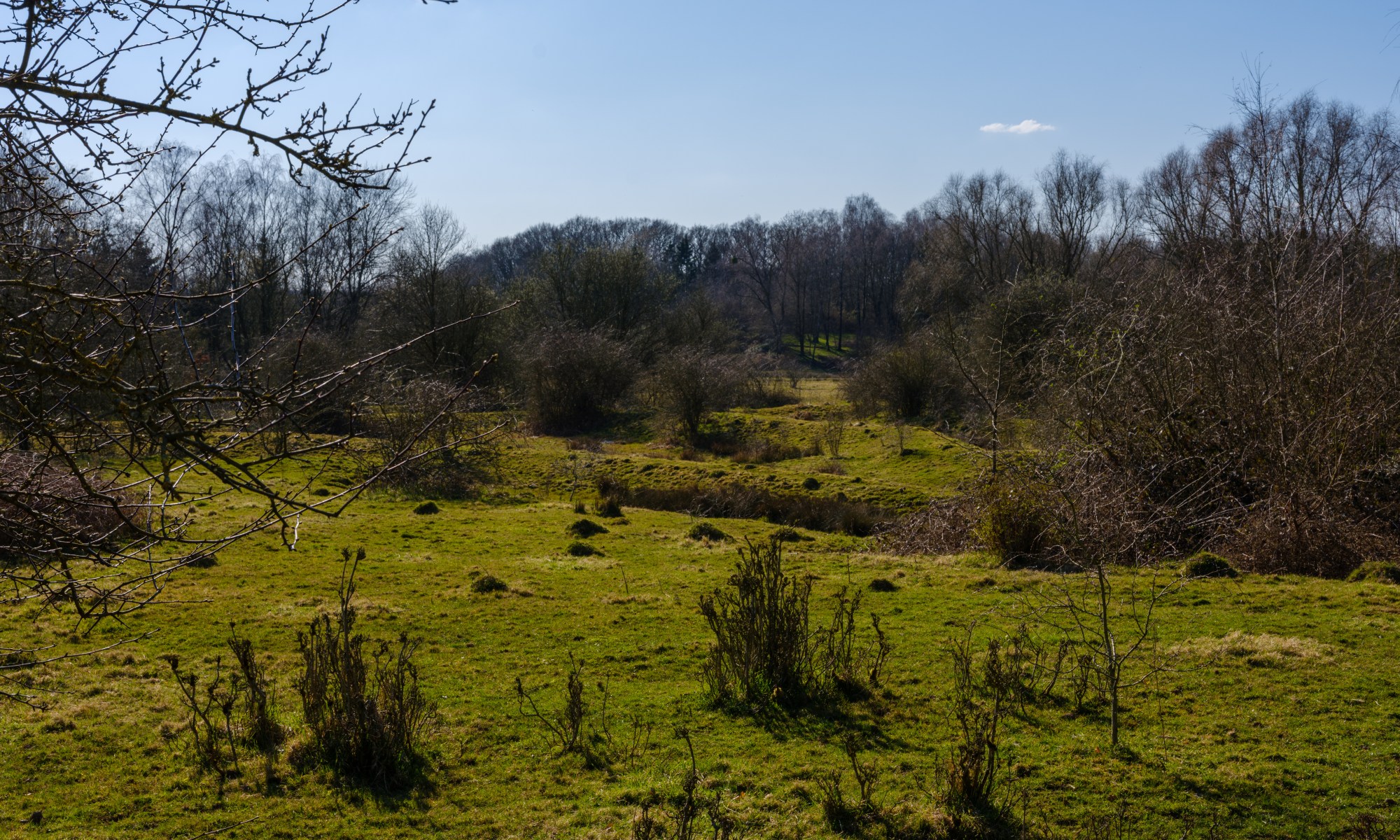 Former Gravel Pit Sweijer is now Nature Reserve with a Surface that is caused by the excavated Gravel