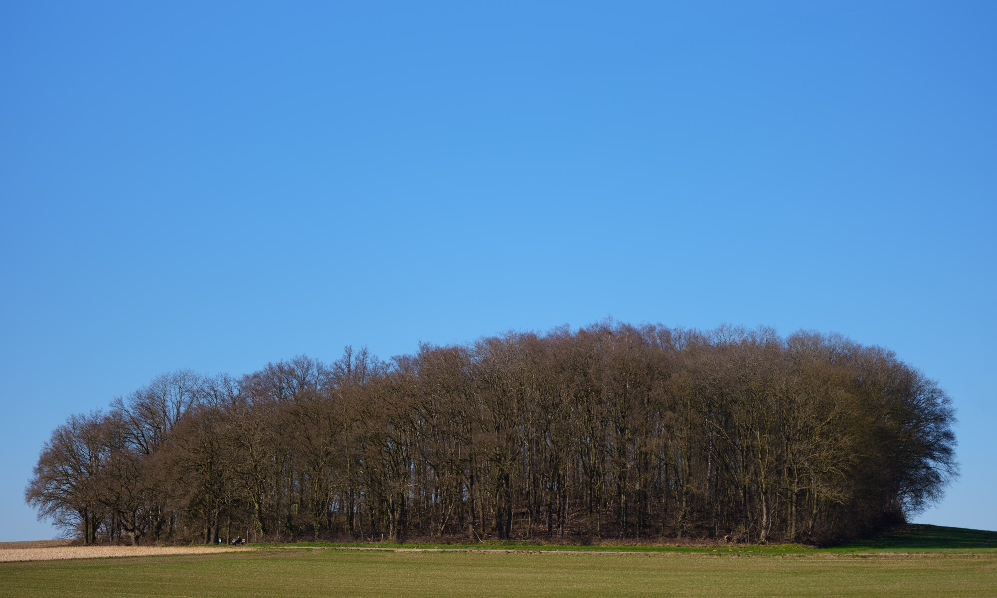 Island of Trees on the 'Roof of the Netherlands'