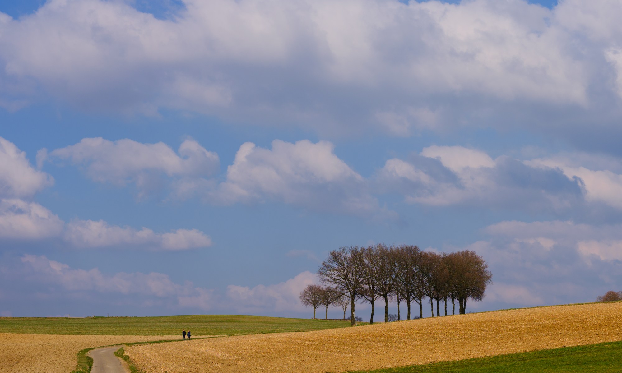 Two Walkers walking down the Road between the Fields in sunny Landscape.