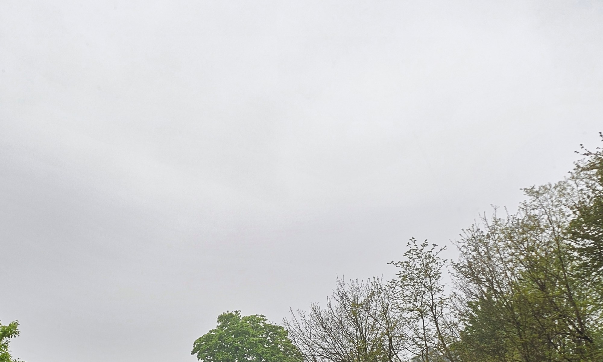 Hazy Day at the End or April. The Horizon is barely visible now.